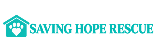SAVING HOPE